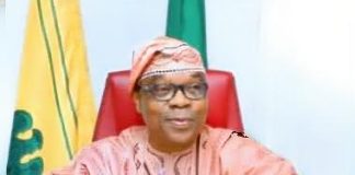 FG reaffirms commitment to prioritising security, Nigeria diaspora