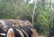 Navy recover 61,000ltrs of petroleum products from reactivated illegal networks in Rivers