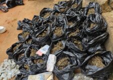 Police nab 2 suspected drug dealers in Anambra