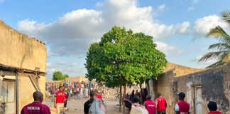 NDLEA launches ‘Operation Restore Order’, arrests 80 suspects in Kano