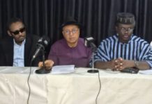 2027: Utomi urges massive voter turnout