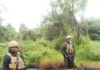 Navy discovers, deactivates suspected illegal crude oil infrastructure