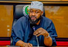 Niger attracts UN climate finance, carbon market