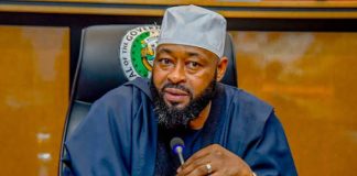 Niger attracts UN climate finance, carbon market