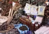 Kano Board shuts herbal medicine shop over misconduct