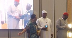 FG demands equal access for women in green economy