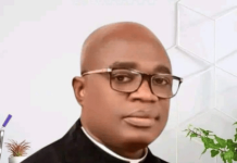 Benue needs Lagos-style master plan to sustain development – Alia