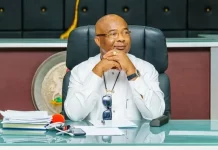 Imo governor seeks 100% support for Tinubu