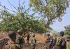 Military eliminates 65 terrorists, rescues 34 kidnap victims in 1 week