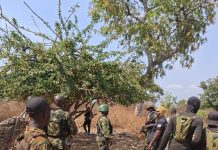 Military eliminates 65 terrorists, rescues 34 kidnap victims in 1 week