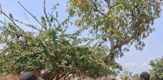 Military eliminates 65 terrorists, rescues 34 kidnap victims in 1 week