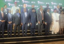 Jonathan urges Africa to act on agricultural pledges