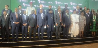 Jonathan urges Africa to act on agricultural pledges