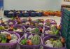 Food Bank programme cushions effects of economic hardship – First lady