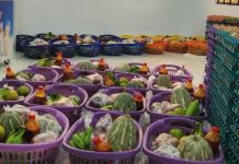 Food Bank programme cushions effects of economic hardship – First lady