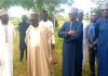 NAGGW supports FCE Bichi’s green initiative with 3,000 seedlings