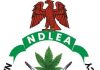 LASCOPA, NDLEA partner to curb drug-laced foods, abuse