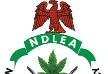 LASCOPA, NDLEA partner to curb drug-laced foods, abuse
