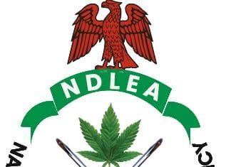 LASCOPA, NDLEA partner to curb drug-laced foods, abuse