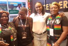 ANALYSIS: Nigeria drives Ghana tourism growth, 136,000 arrivals in 2025