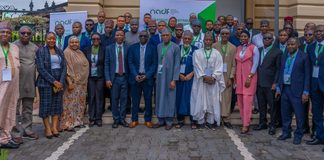 NADF moves to boost agricultural finance
