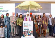94.2m Nigerians use financial products, formal inclusion hits 73% — EFInA