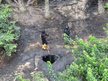Navy recovers 182,000 ltrs of suspected stolen crude oil in Rivers