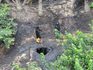 Navy recovers 182,000 ltrs of suspected stolen crude oil in Rivers