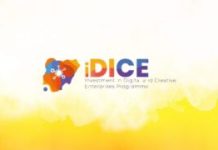 iDICE: FG to offer digital, employability training for 50,000 North-Central youths