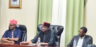 Nigeria to seek African solution to xenophobic attacks in South Africa — Envoy