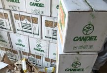 Kano Consumer Council confiscates 419 cartons of expired agrochemicals, seals warehouse