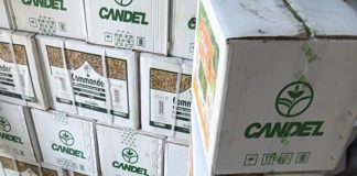 Kano Consumer Council confiscates 419 cartons of expired agrochemicals, seals warehouse
