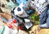 Emir of Zazzau inaugurates tree planting along ancient Zaria city walls