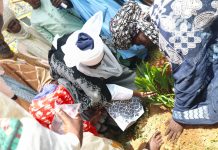 Emir of Zazzau inaugurates tree planting along ancient Zaria city walls