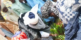 Emir of Zazzau inaugurates tree planting along ancient Zaria city walls