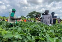 Sasakawa Foundation supports Benue farmers with N13m power tiller to boost productivity