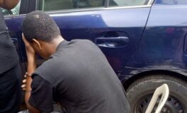 Driver, 20, allegedly crushes police officer to death in Lagos