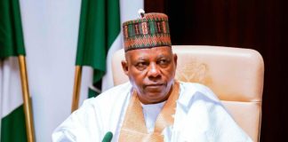 You’re a trusted ally, patriot, Tinubu hails Shettima @60