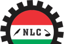 Nigeria@66: NLC demands petrol price cut, wage award, new minimum wage