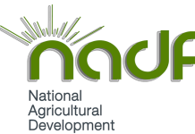 NADF seeks new funding for Africa’s food systems
