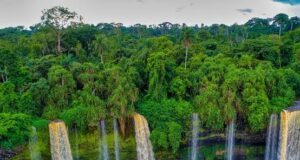 World Tourism Day: Stakeholders seek stronger government support – News Agency of Nigeria