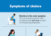 Cholera: The clean water solution
