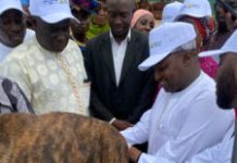 Kaduna govt launches anti-rabies campaign for dogs, cats to curb Zoonotic diseases