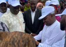 Kaduna govt launches anti-rabies campaign for dogs, cats to curb Zoonotic diseases