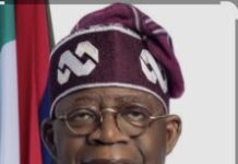 2027 Elections: Ex-YOWICAN Chief urges youths to support Tinubu
