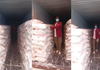 NDLEA intercepts Saudi-bound drug consignments at Kano airport