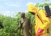 Agrochemical safety: IFAD-VCDP empowers 50 youths to become spraying entrepreneurs
