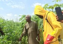 Agrochemical safety: IFAD-VCDP empowers 50 youths to become spraying entrepreneurs