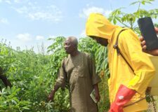 Agrochemical safety: IFAD-VCDP empowers 50 youths to become spraying entrepreneurs