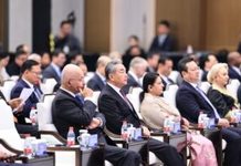 China canvasses permanent UN Security Council seat for Africa